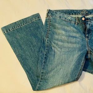 NEW OLD NAVY The Diva PLUS SIZED Jeans 18R Lowest Rise Fall ‘08 Retro